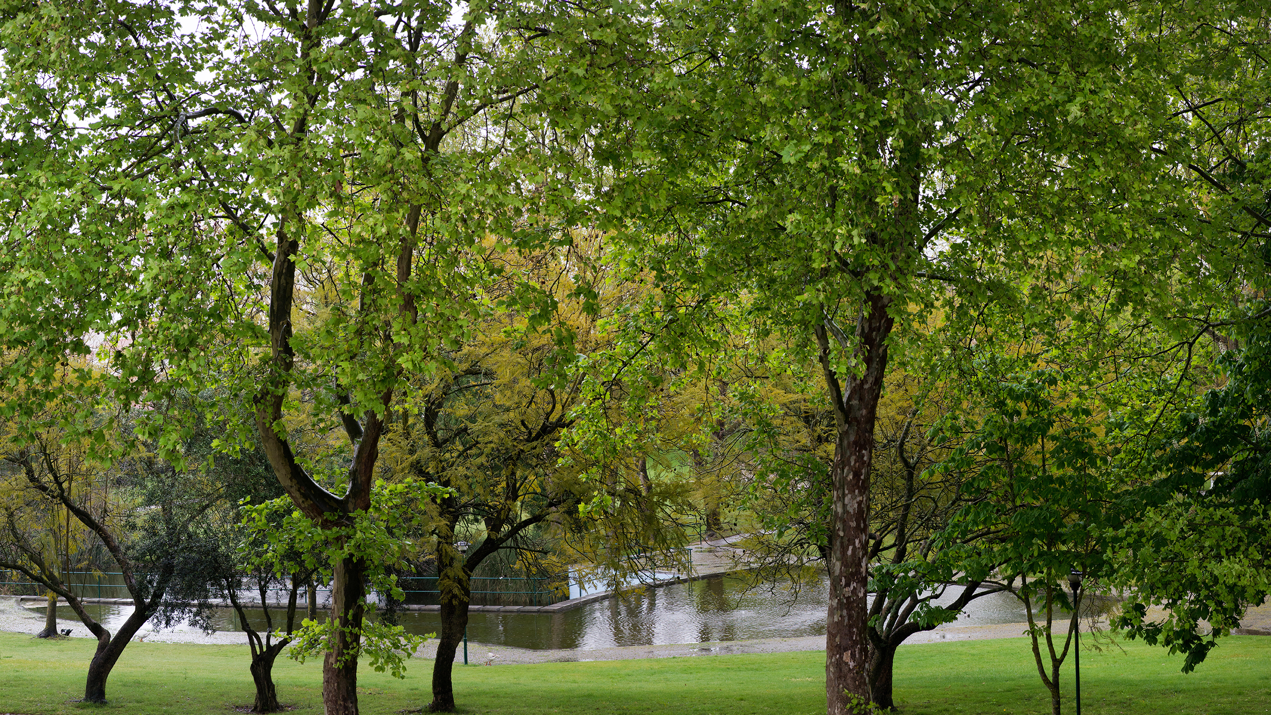 Jardim Público de Vendas Novas